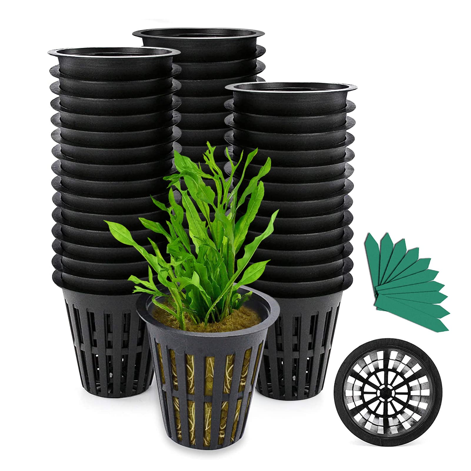Hydroponics or Aquaponics pots- krishicenter
