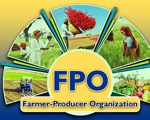 FPO-farmer-producer-organization-krishicenter.