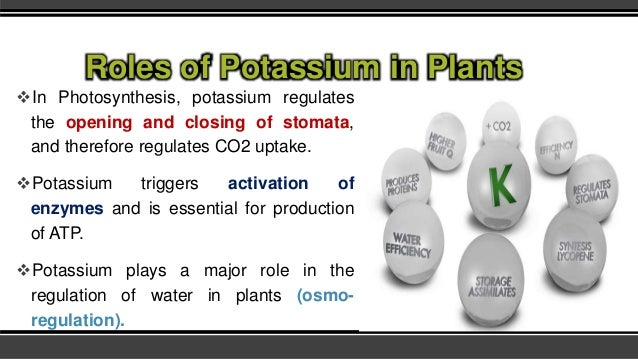 PLant Nutrients primary nutrients Potassium- krishicenter