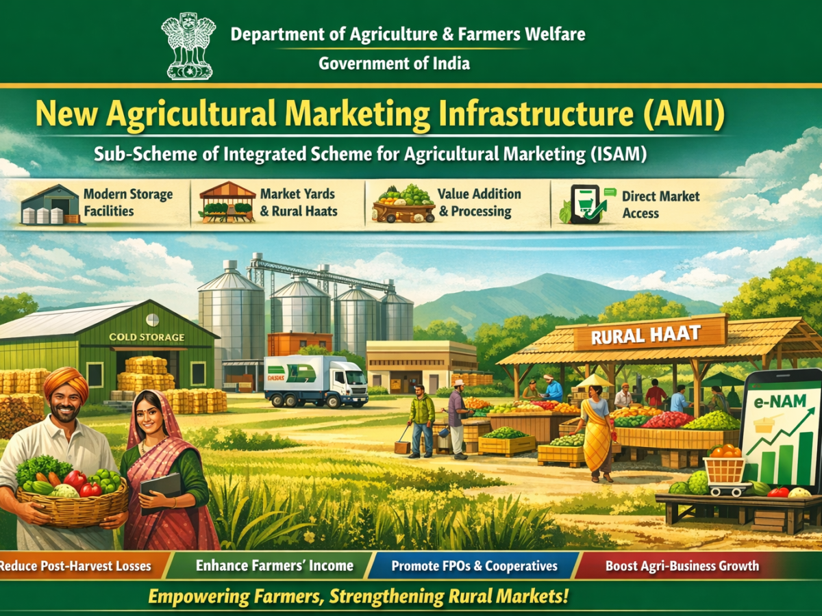 Agricultural Marketing Infrastructure